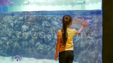 小女孩和乌龟的友谊。 儿童对水下世界及其居民的印象
